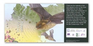 Bat-Postcard